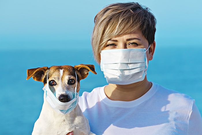 ¿El coronavirus afectará a los perros? No tanto como se