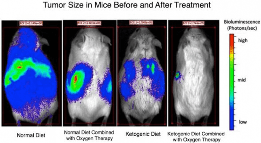 Imágenes térmicas de ratones antes y después de la terapia de dieta cetogénica